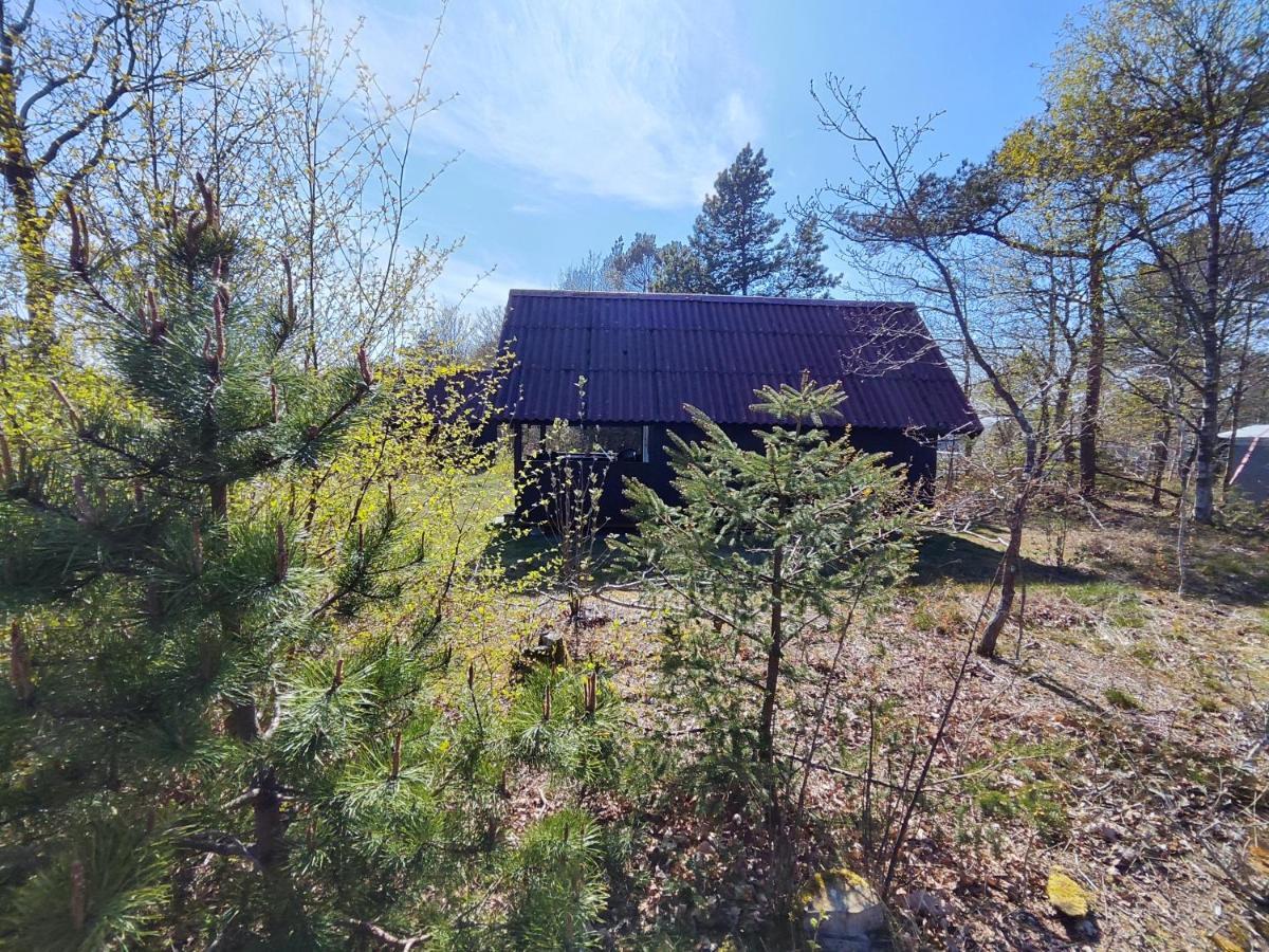Tranum Klit Camping Og Hytteudlejning Brovst Exterior photo